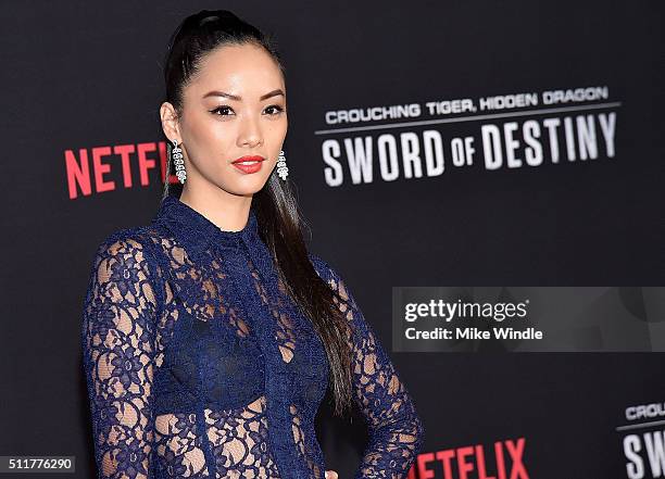 Actress Shuya Chang attends the premiere of Netflix's "Crouching Tiger, Hidden Dragon: Sword Of Destiny" at AMC Universal City Walk on February 22,...