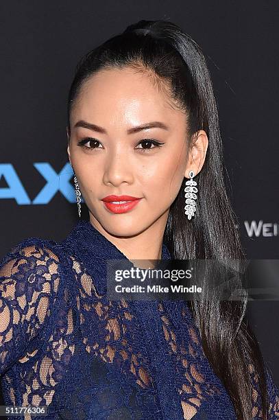 Actress Shuya Chang attends the premiere of Netflix's "Crouching Tiger, Hidden Dragon: Sword Of Destiny" at AMC Universal City Walk on February 22,...