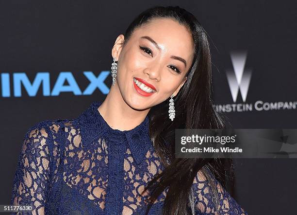 Actress Shuya Chang attends the premiere of Netflix's "Crouching Tiger, Hidden Dragon: Sword Of Destiny" at AMC Universal City Walk on February 22,...
