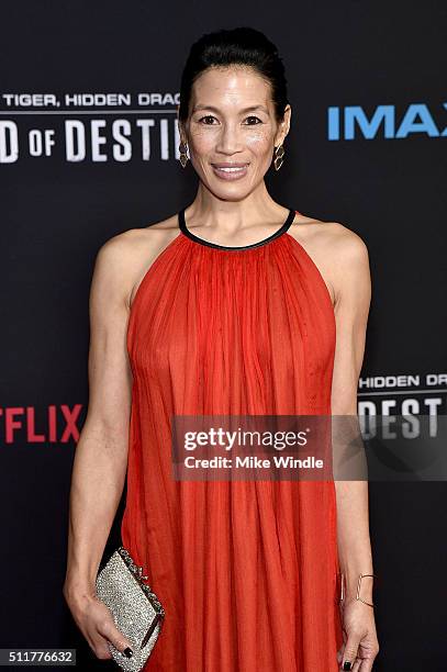 Actress Eugenia Yuan attends the premiere of Netflix's "Crouching Tiger, Hidden Dragon: Sword Of Destiny" at AMC Universal City Walk on February 22,...