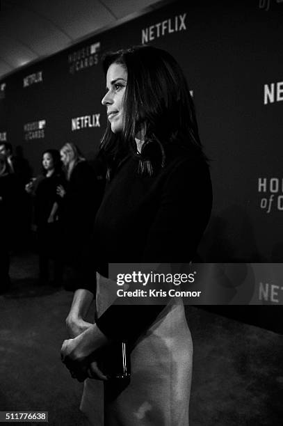 Actress Neve Campbell attends the "House Of Cards" Season 4 Premiere at the National Portrait Gallery on February 22, 2016 in Washington, DC.