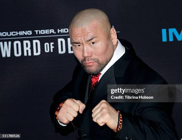 Woon Young Park attends the Premiere of Netflix's 'Crouching Tiger, Hidden Dragon: Sword Of Destiny' at AMC Universal City Walk on February 22, 2016...