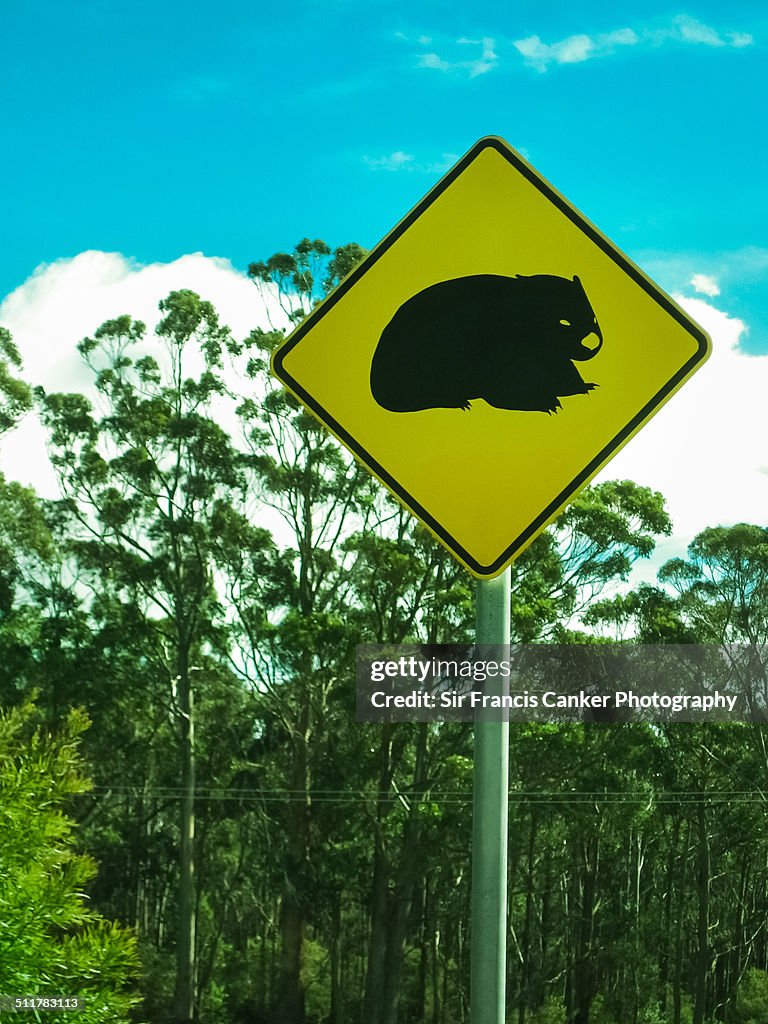 Wombat road sign in Tasmania