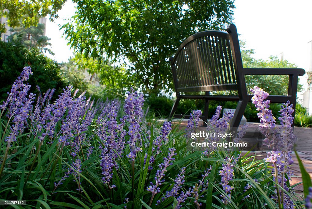 Flowers and bench