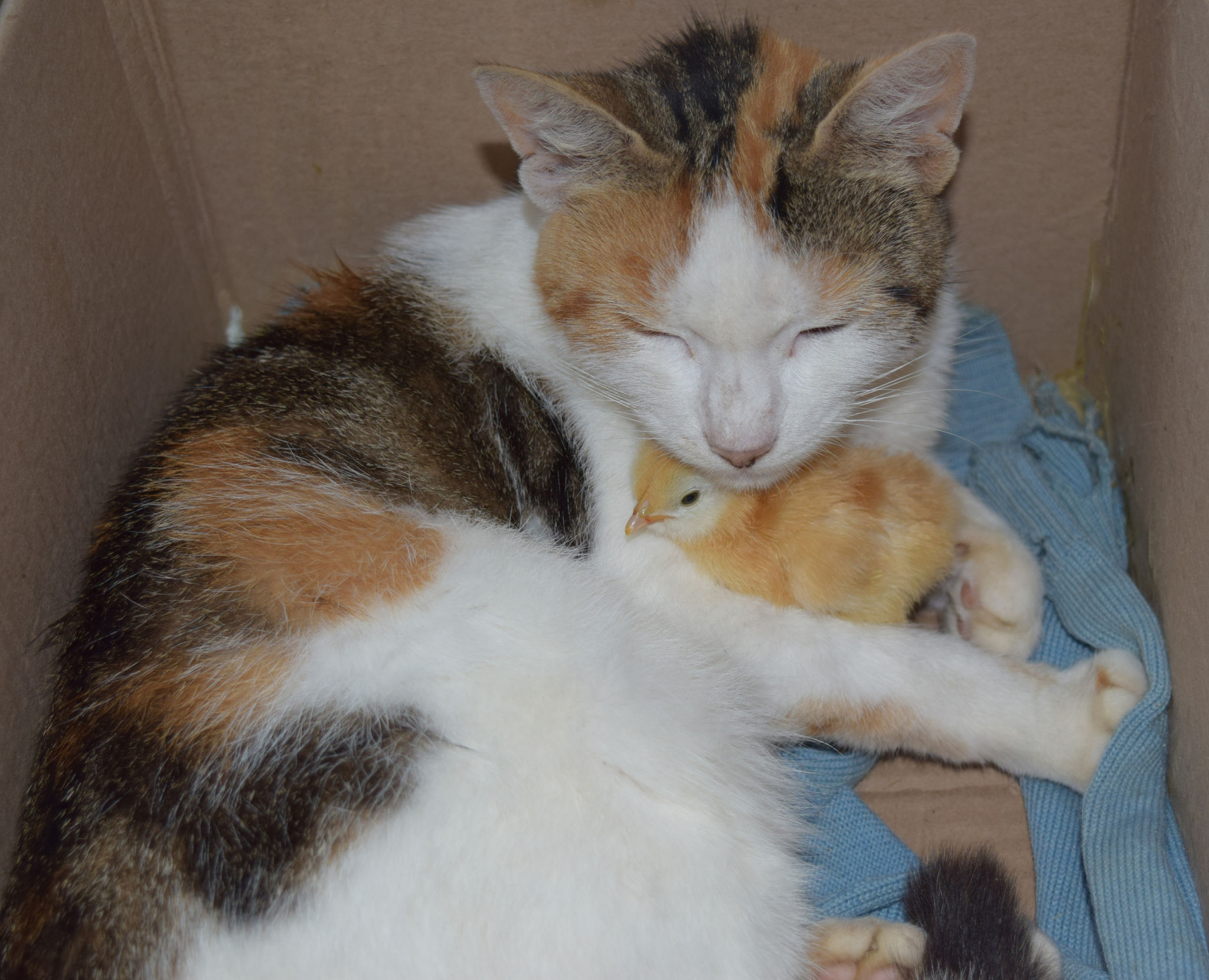 Nature doesn’t deal in straight lines, it favors possibility Nature doesn’t deal in straight lines, it favors possibility