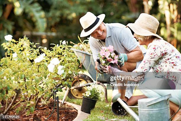 und dieses bündel ist für mein blüte! - adult woman garden flower stock-fotos und bilder