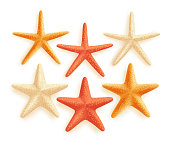 3D Realistic Set of Vector Starfish with Colors for Summer