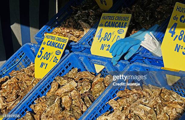 oysters at cancale harbour - cancale stock pictures, royalty-free photos & images