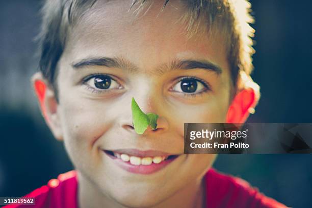 boy with a polynose on his nose. - 翼果 ストックフォトと画像