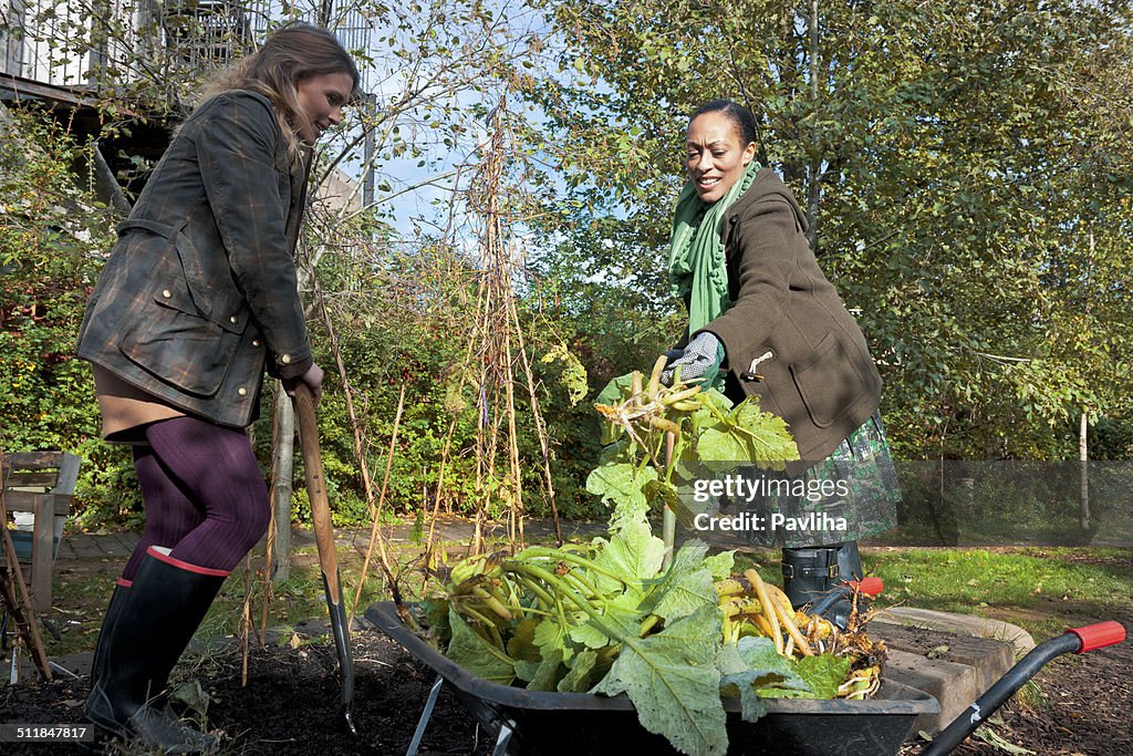 Junge Frauen, die Gartenarbeit, London, GB