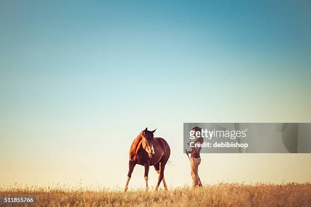 junge frau ausbildung pferd - 1 woman 1 horse stock-fotos und bilder