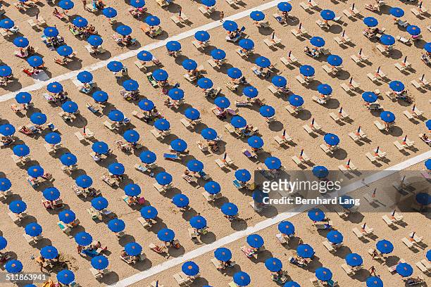 aerial view of blue sunshades standing in rows - sunbed stock pictures, royalty-free photos & images