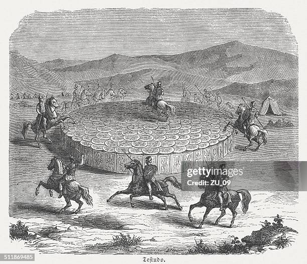 Tortoise Rome 230 Roman Tortoise Stock Photos, High-Res Pictures, and Images - Getty ...