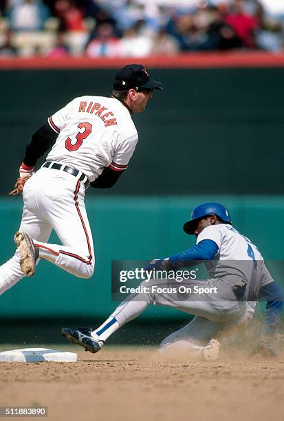 Billy Ripken 259 260 ハロルド レイノルズ 写真 Stock Photos, High-Res Pictures, and Images - Getty ...