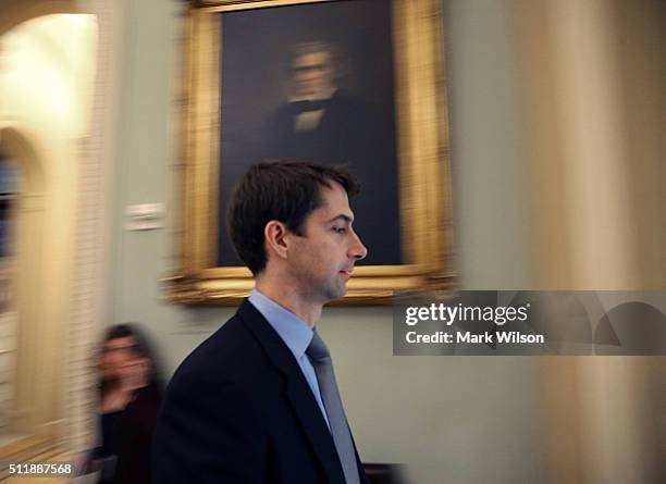 Sen. Tom Cotton walks to the Senate Republican policy luncheon, on Capitol Hill February 23, 2016 in Washington, DC. Senate Republicans said they...