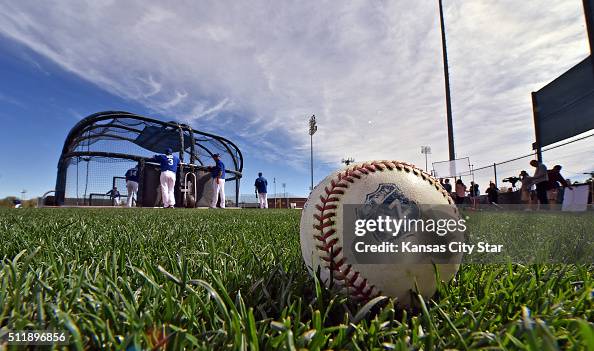 An Arizona spring training ball sits in the grass during the Kansas ...