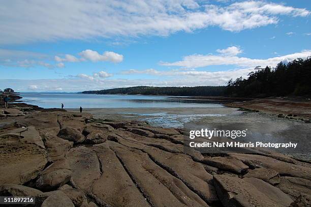 gabriola island - gabriola island stock pictures, royalty-free photos & images