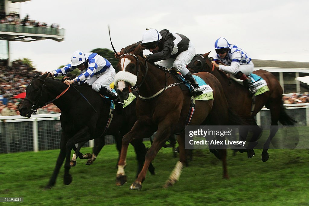 York Races