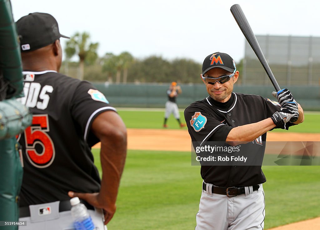 Miami Marlins Workout