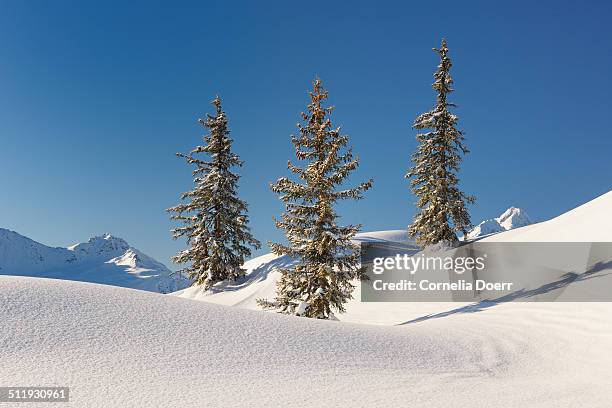 sonnenkopf plateau - sonnenkopf stock pictures, royalty-free photos & images