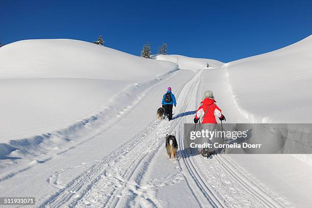 two women enjoying winter hiking with dogs - sonnenkopf stock pictures, royalty-free photos & images