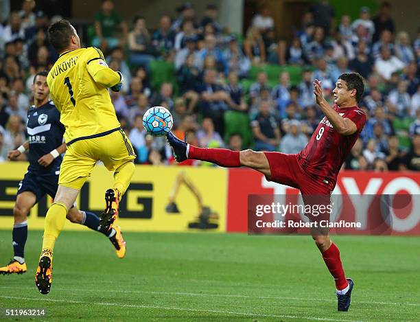 Victory goalkeeper Danny Vukovic is challenged by Elkeson of Shanghai SIPG during the AFC Asian Champions League match between Melbourne Victory and...