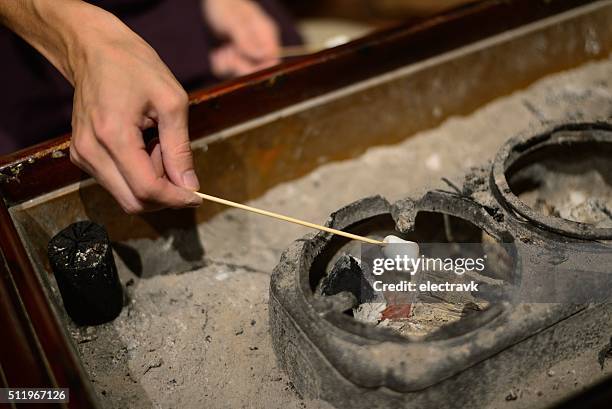 roasting marshmallows - malva pudding stock pictures, royalty-free photos & images
