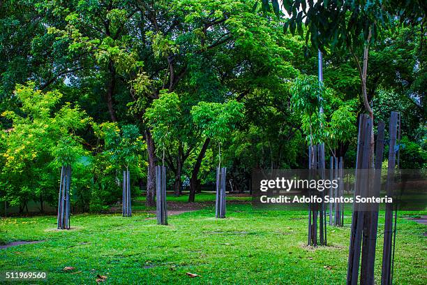 the colors and life of nature in jaqueira park.. - cor verde stock-fotos und bilder