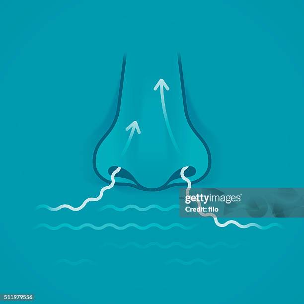 nose - human nose stock illustrations