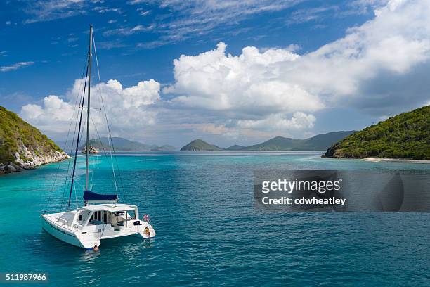 catamaran anchored by lovango cay, us virgin islands - catamaran stockfoto's en -beelden