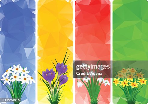 Spring Flower Spring Flower