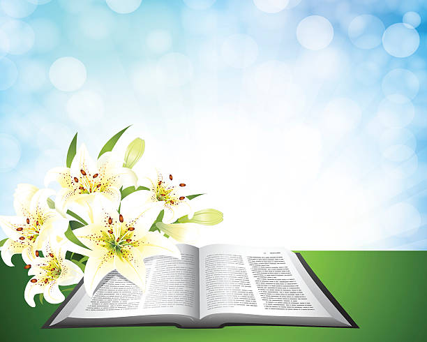 105 Spring Background Table High Res Illustrations - Getty Images