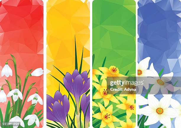 springtime - daffodils bunch stock illustrations