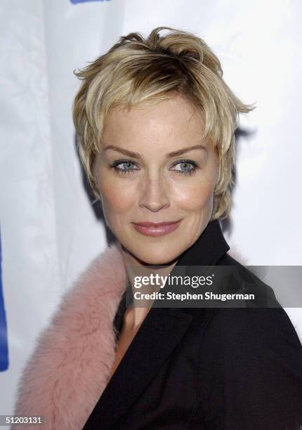 Actress Sharon Stone attends Project Angel Food's 11th Annual Angel Awards Gala at Project Angel Food Headquarters on August 21, 2004 in Los Angeles,...