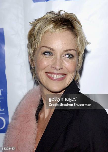 Actress Sharon Stone attends Project Angel Food's 11th Annual Angel Awards Gala at Project Angel Food Headquarters on August 21, 2004 in Los Angeles,...