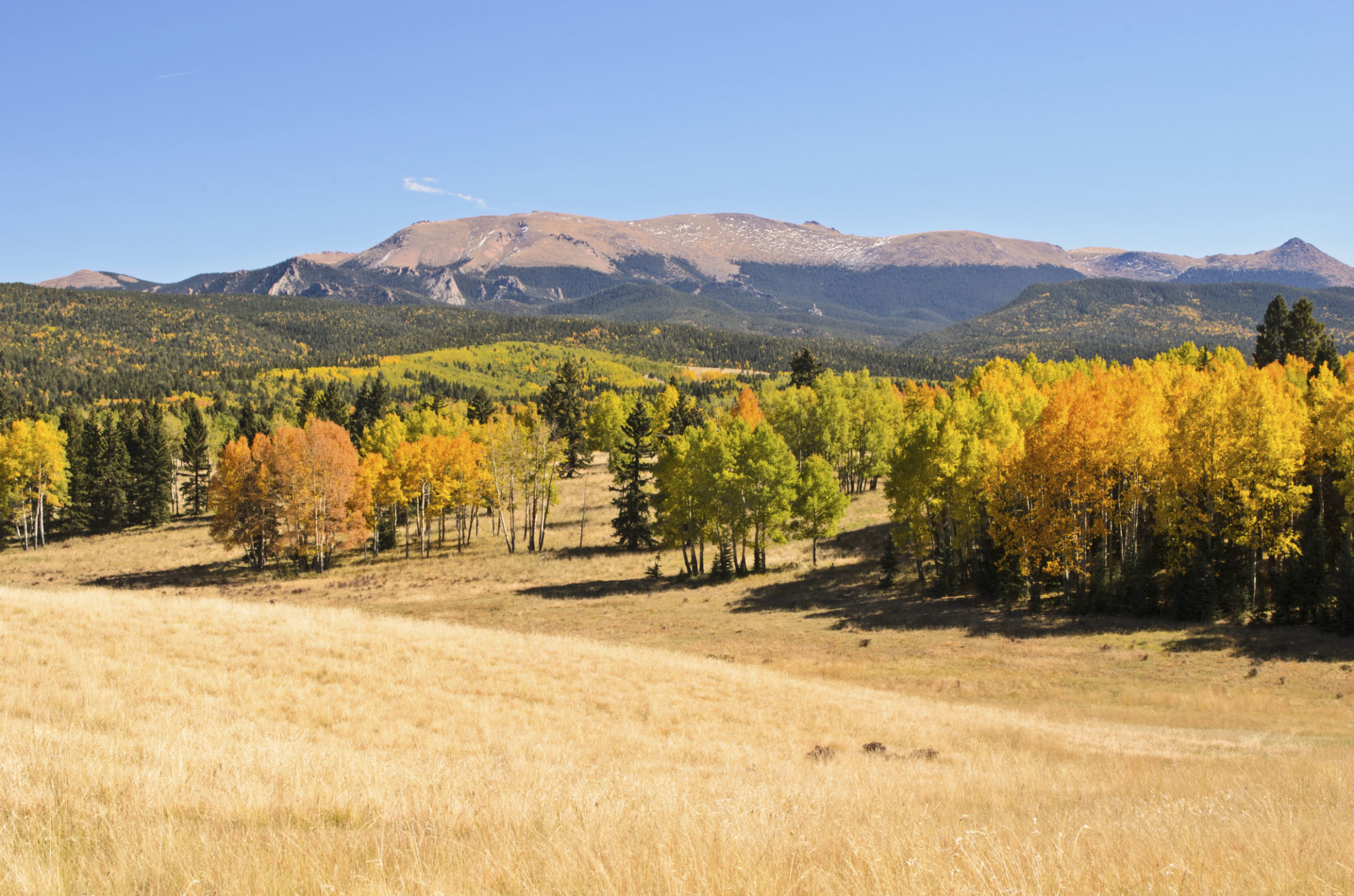 mueller state park