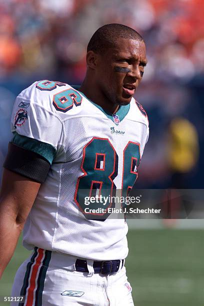 50 Miami Dolphins Oronde Gadsden Photos & High Res Pictures - Getty Images