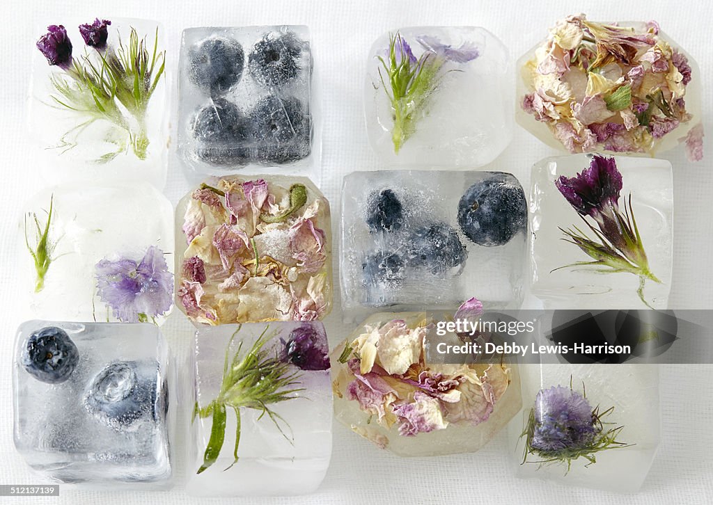 Flowers and fruit frozen in ice-cubes