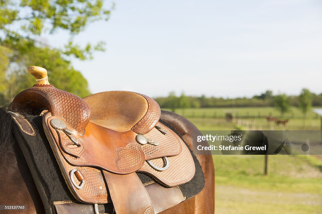 Details of horse saddle