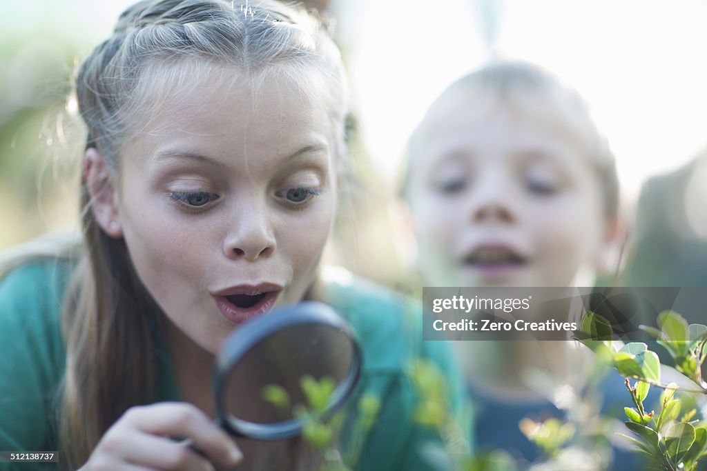 Brother and sister looking at plants with magnifying glass in garden