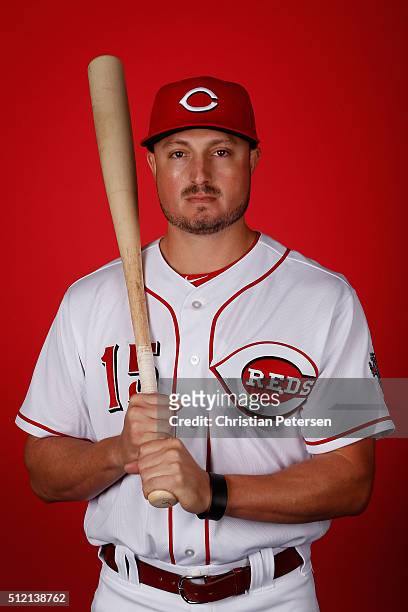 Jordan Pacheco of the Cincinnati Reds poses for a portrait during spring training photo day at Goodyear Ballpark on February 24, 2016 in Goodyear,...
