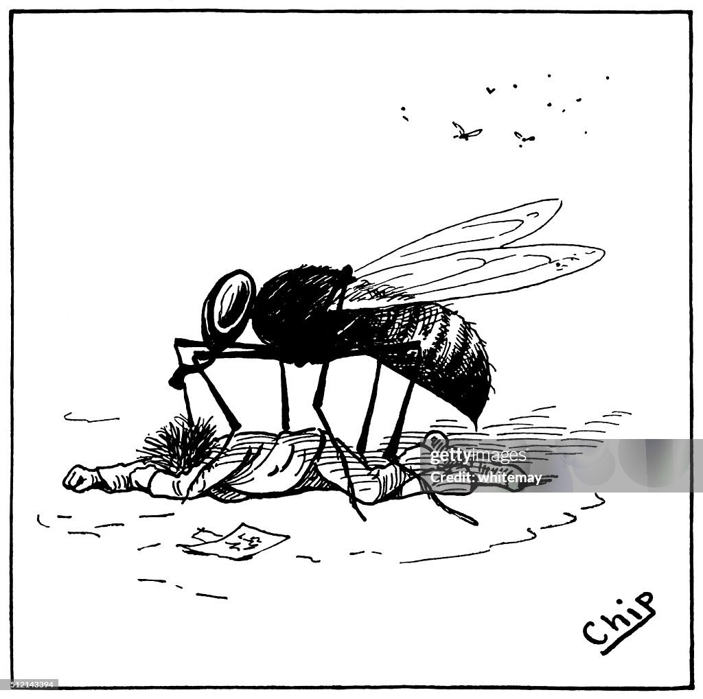 Man being attacked by a large wasp