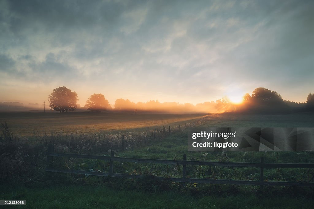 Wunderschönen Sonnenaufgang über dem nebligen Morgen früh Sommer Feld