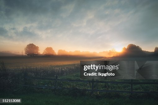 Beautiful sunrise over misty field an early summer morning Beautiful sunrise over misty field an early summer morning