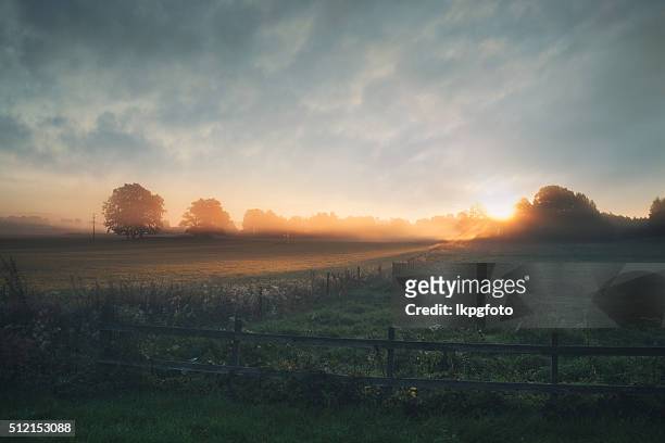 beautiful sunrise over misty field an early summer morning - veld stockfoto's en -beelden