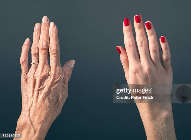 old and young hands - alterungsprozess stock-fotos und bilder