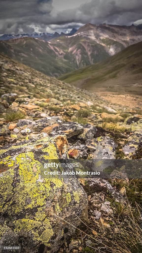 Bedrock in the Alps