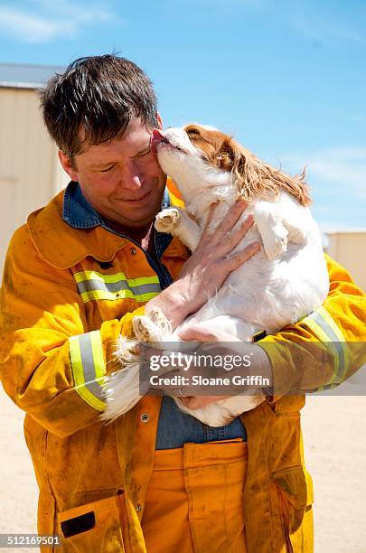 welcome home firefighter! - emergency services australia imagens e fotografias de stock