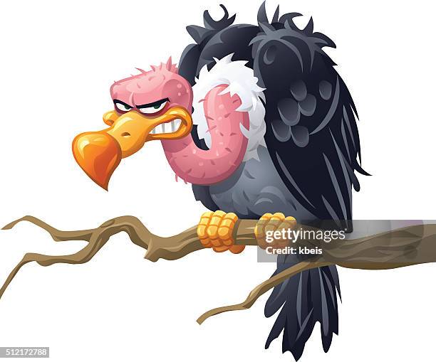 vulture sitting on a branch - ugly bird stock illustrations