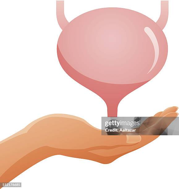 hand holding bladder - bladder stock illustrations